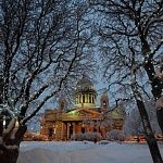С Новым 2017 Годом! 