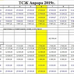 Финансовый отчет за 2019 год