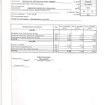 Аудиторское заключение за 2016 финансовый год