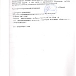 Аудиторское заключение за 2017 финансовый год